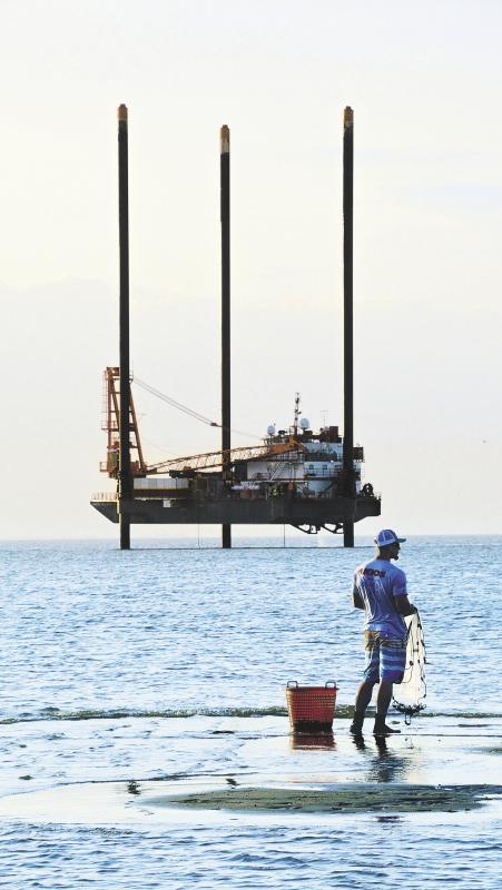 Unusual duck, turbine activity jumping, missing osprey nest | Cape Gazette